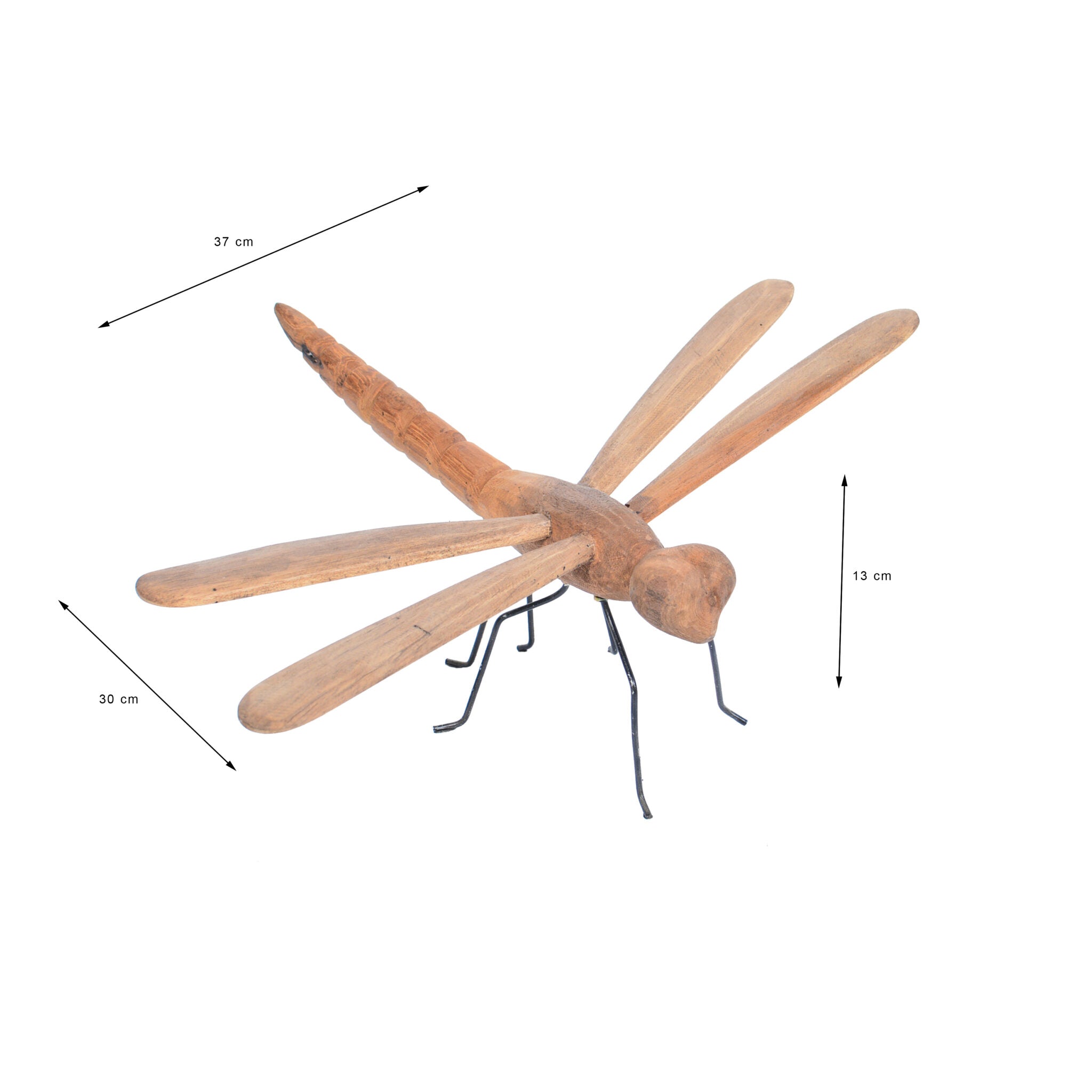 2. animal (dragon fly)1(1)(1)