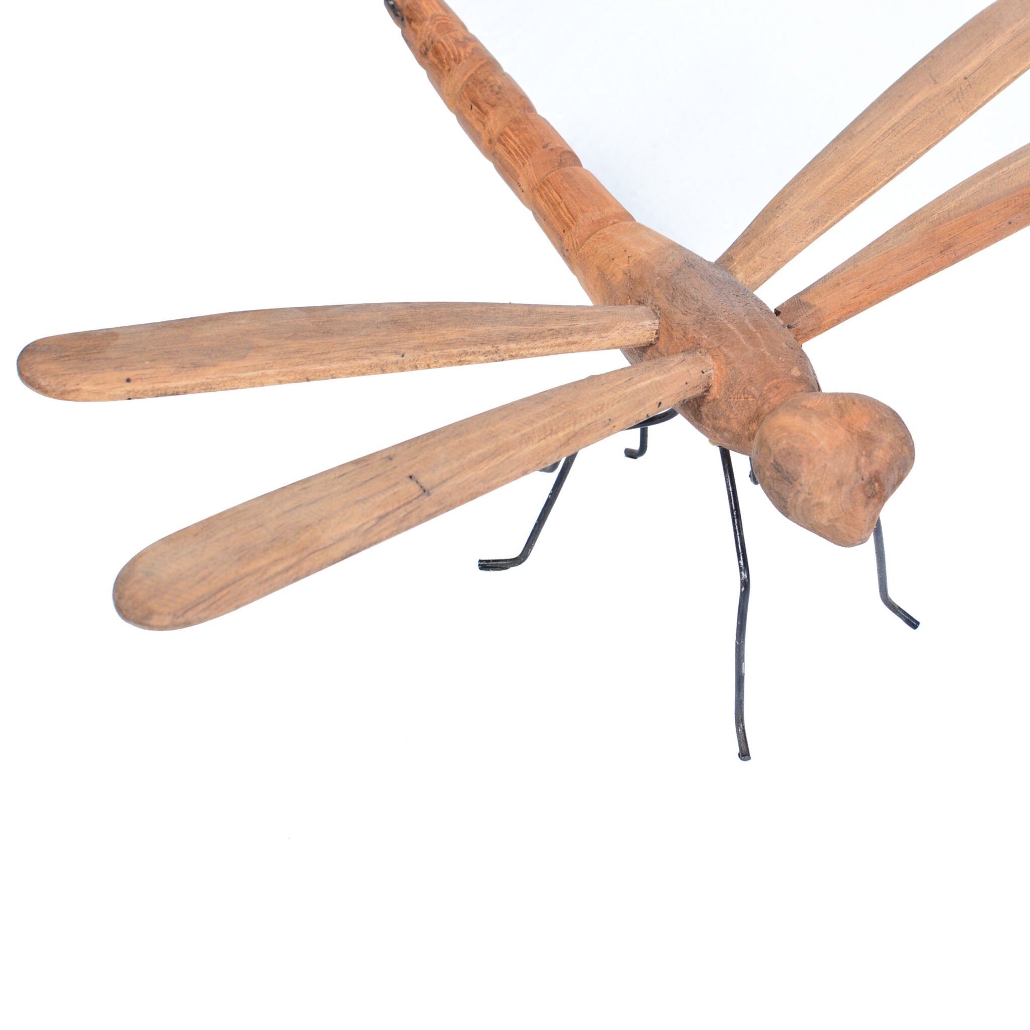 2. animal (dragon fly)3(1)