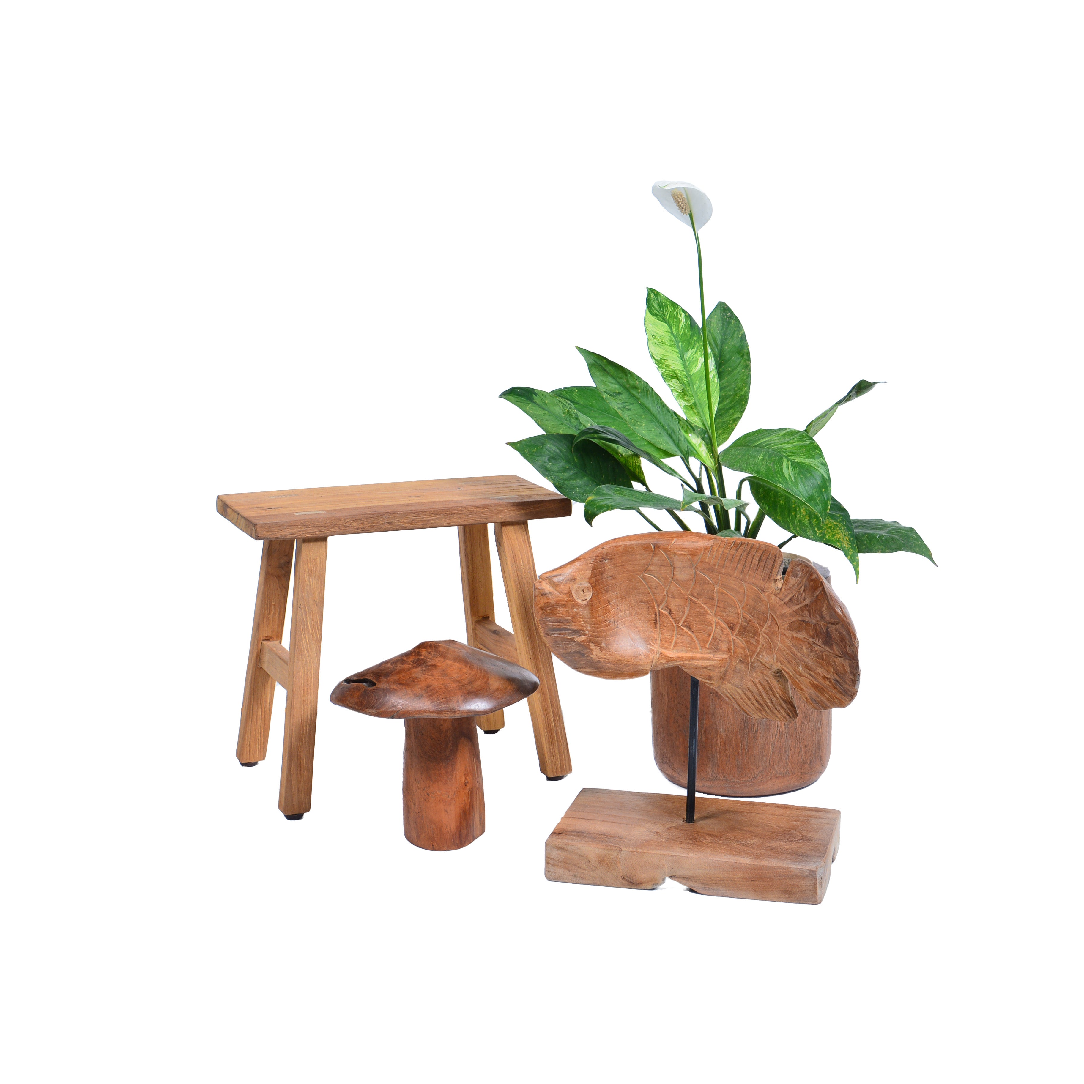 Vis van hout
