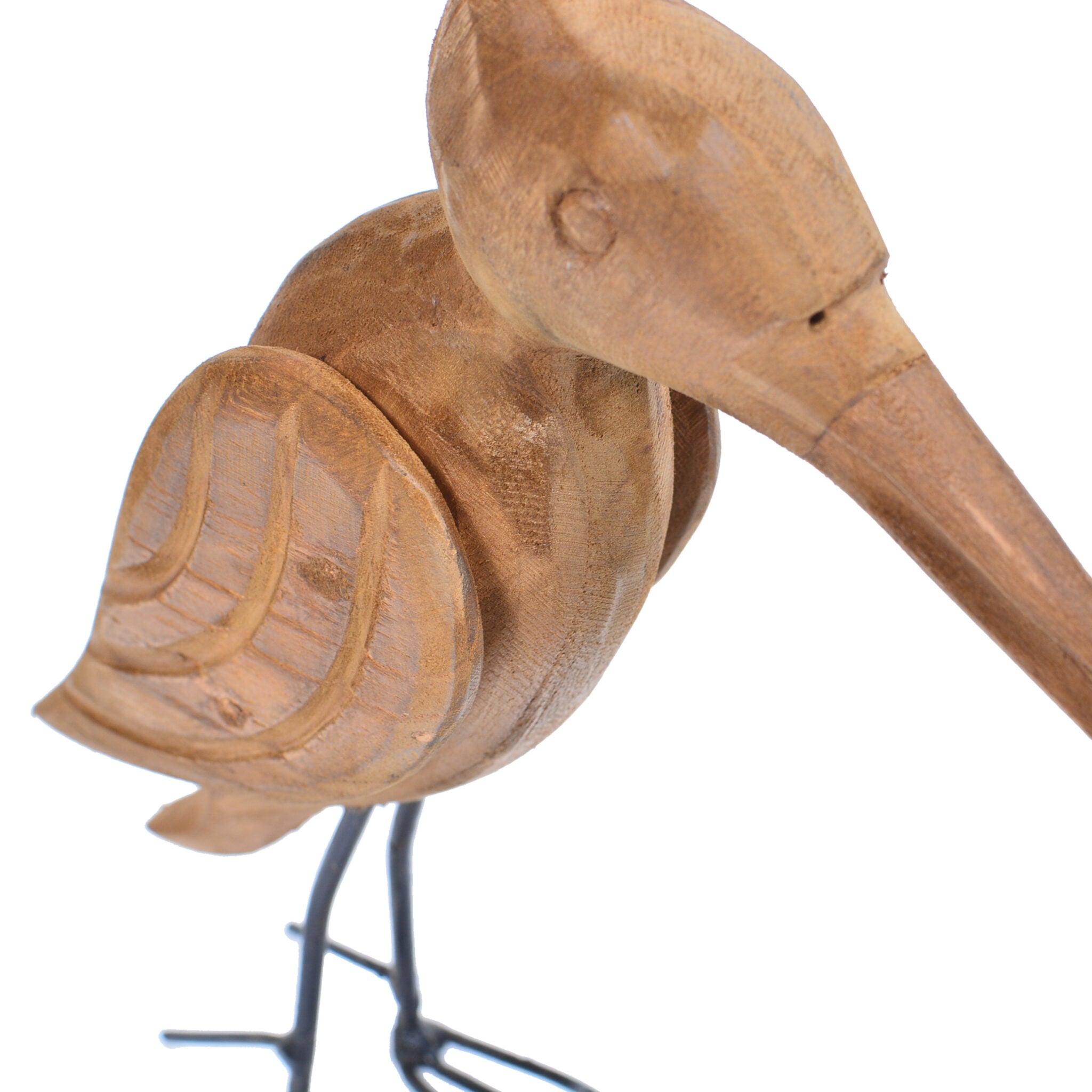 5. animal pelatuk bird 3