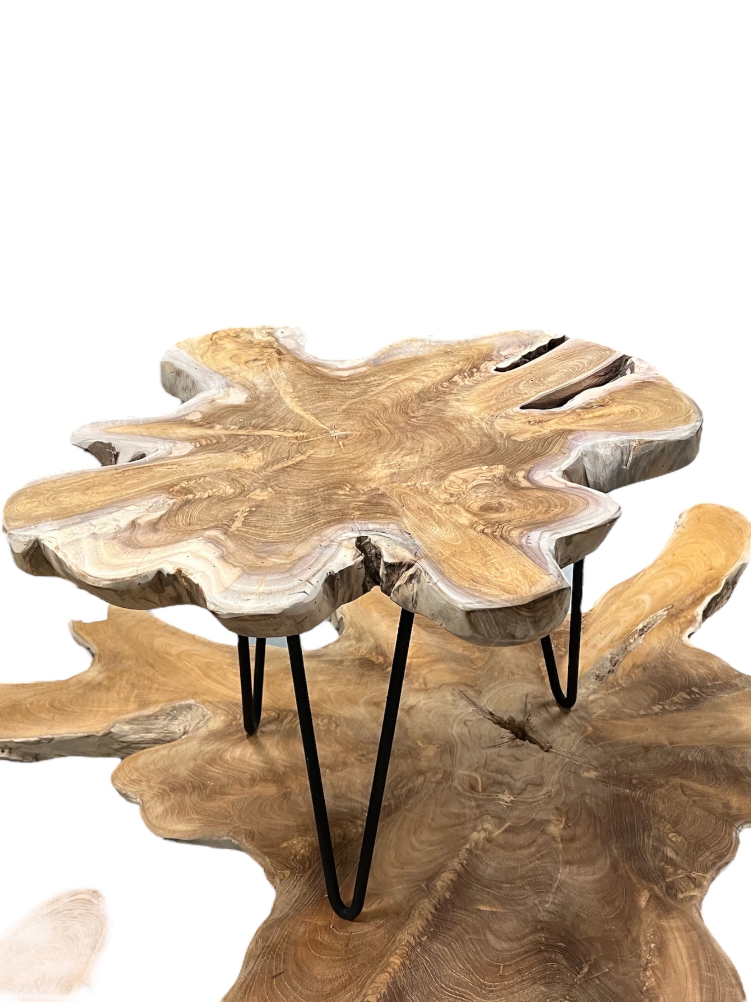 orhganische salontafel teakroot op 3 stalen pootjes