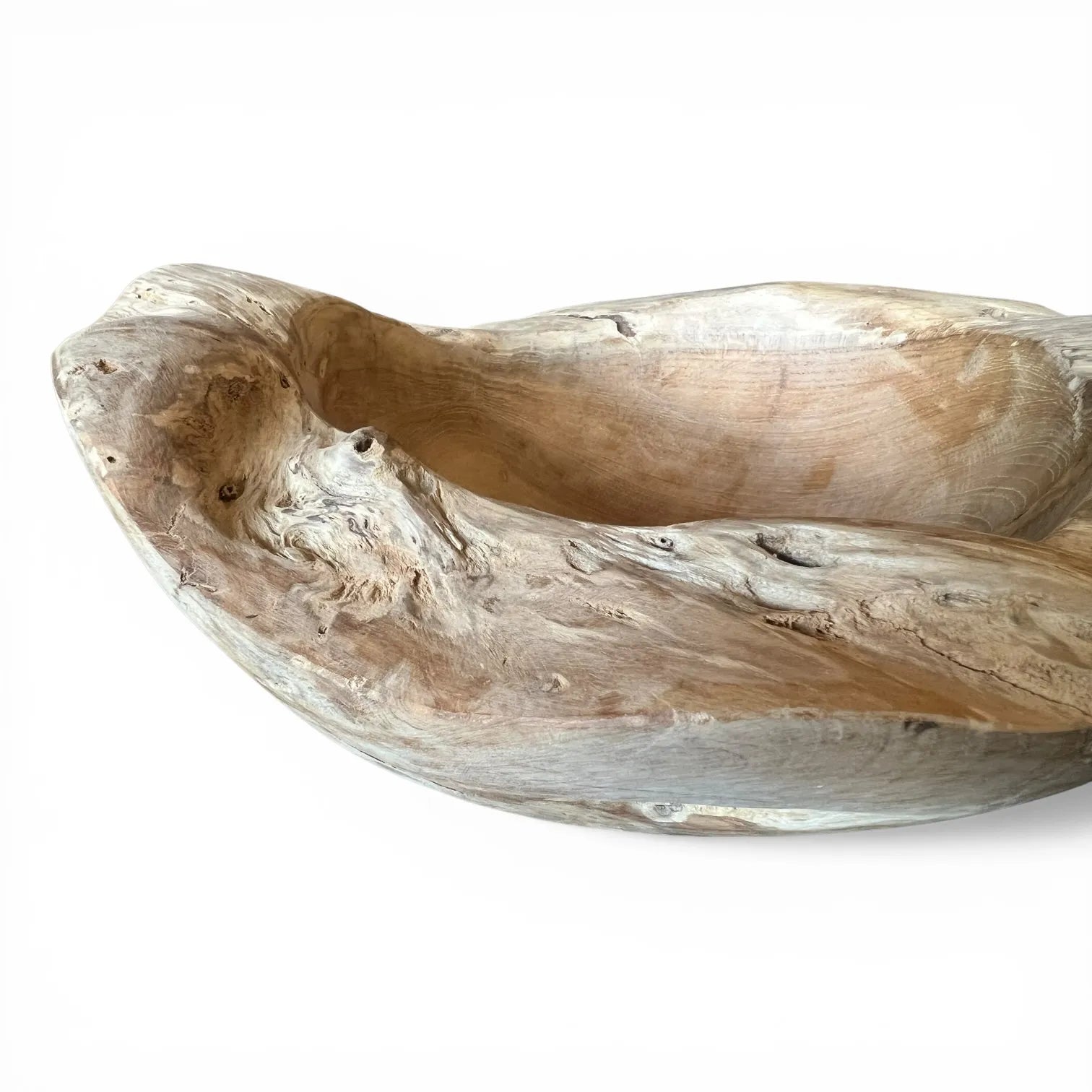 Bovenaanzicht van de ronde schaal Robusta van teakwortel