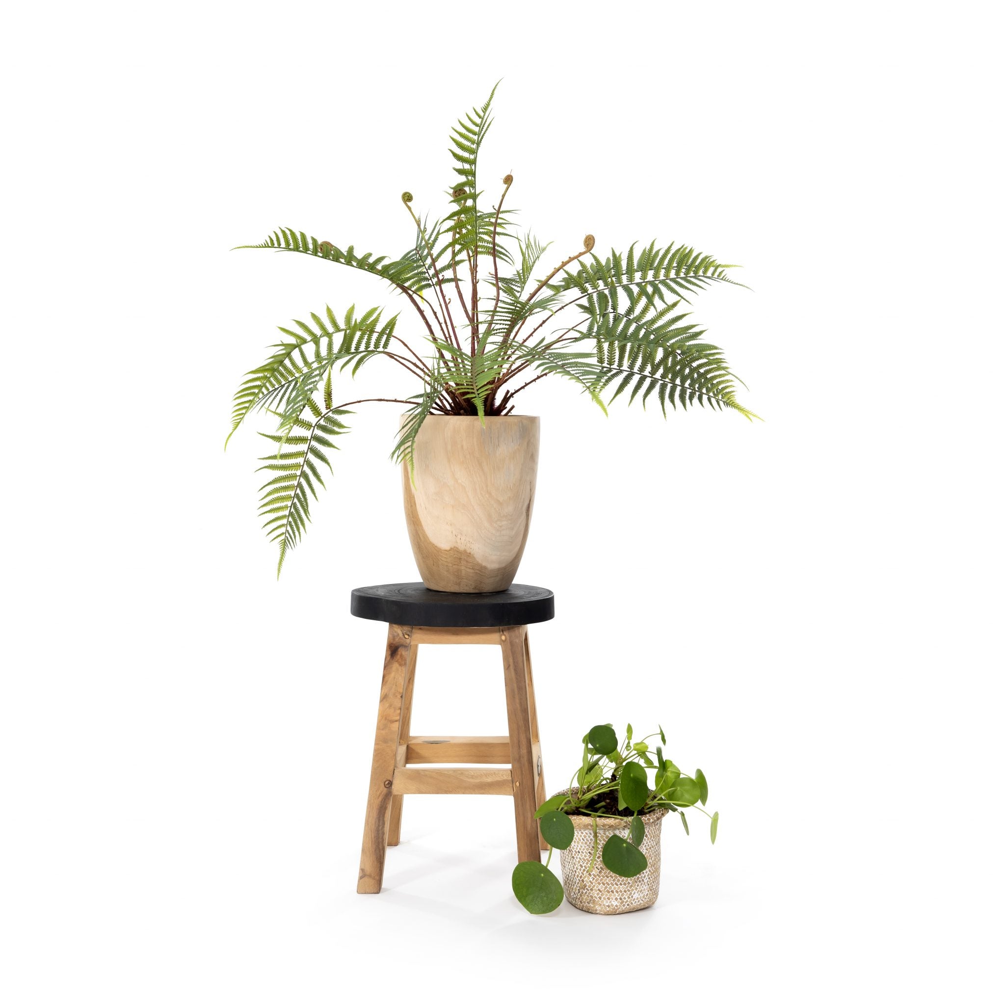 Kruk Paulini van teakhout opgesteld in een interieur, 45 cm hoog