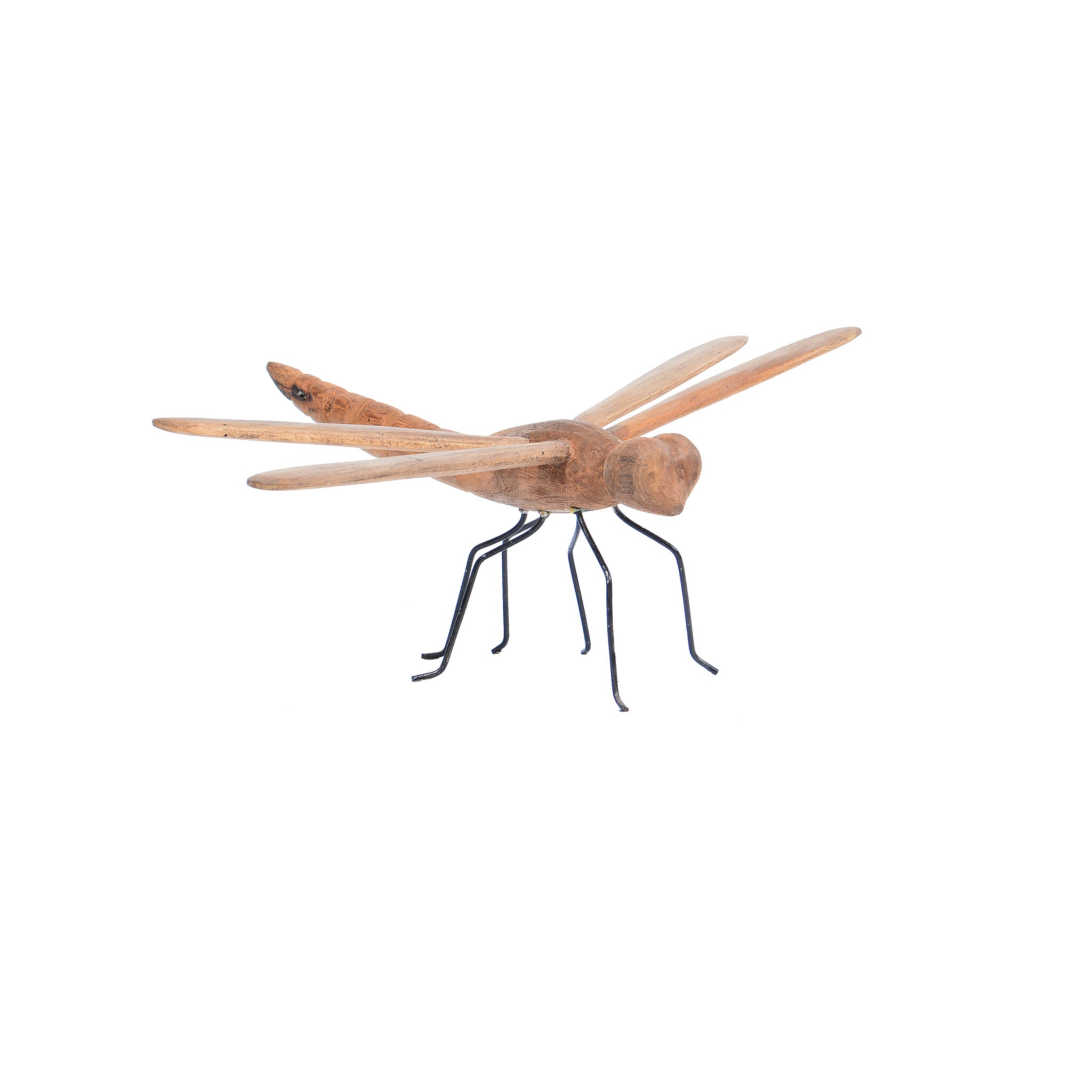 2. animal (dragon fly)2(1)