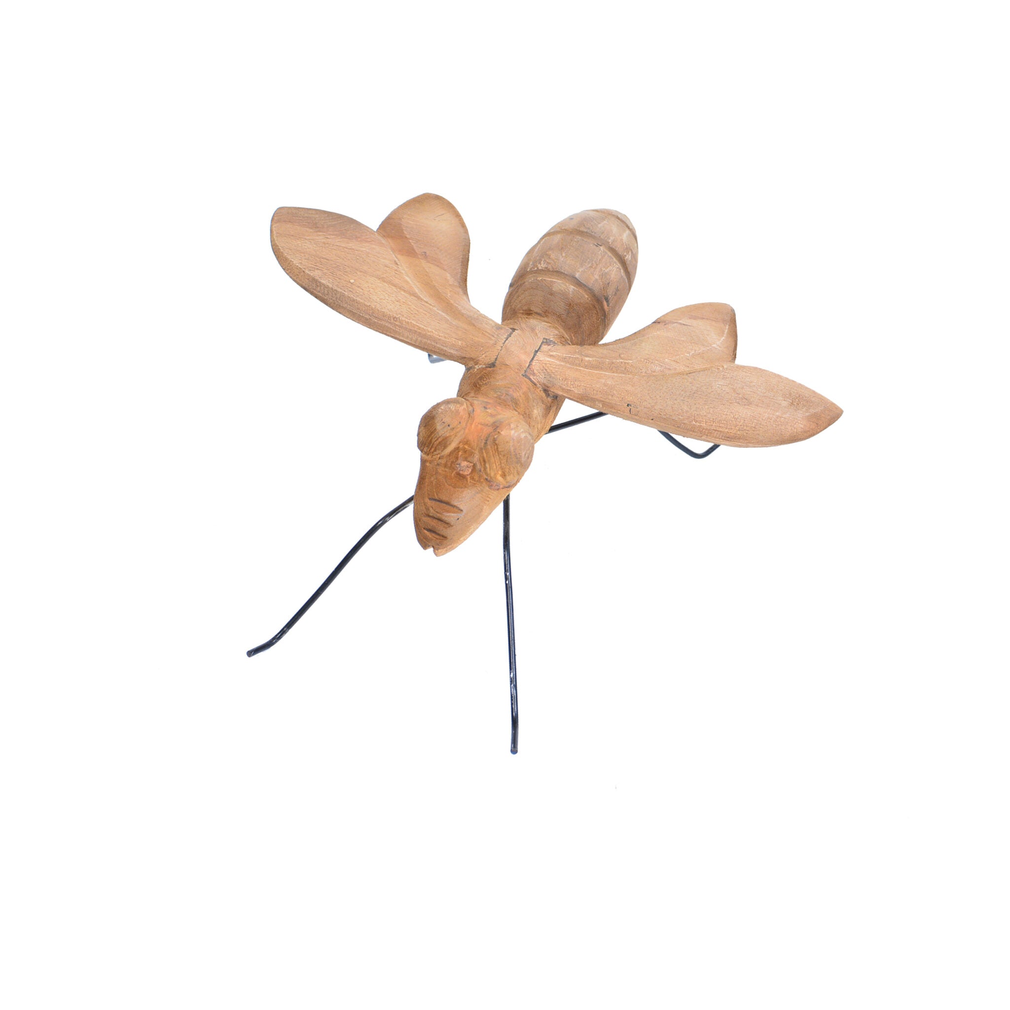 3. animal (fly)1(1)