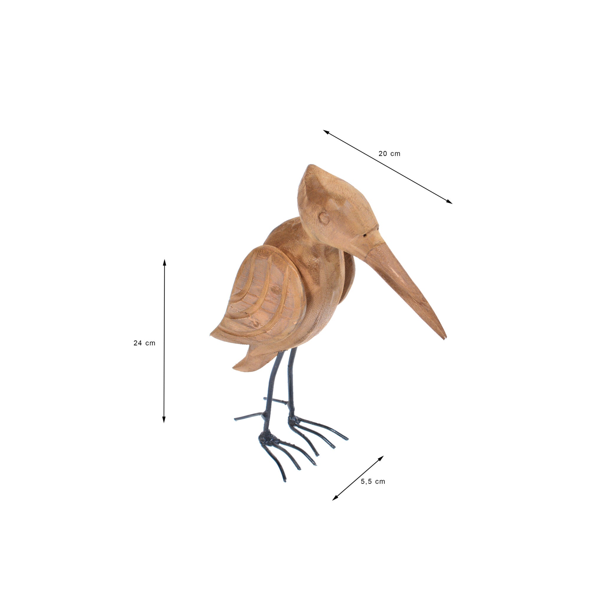 5. animal pelatuk bird 1(1)