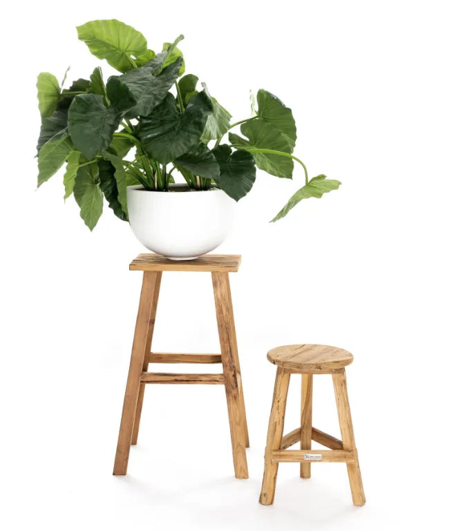 Teakhouten barkrukken naast een plantentafel, perfect voor het creëren van een groene hoek in je interieur
