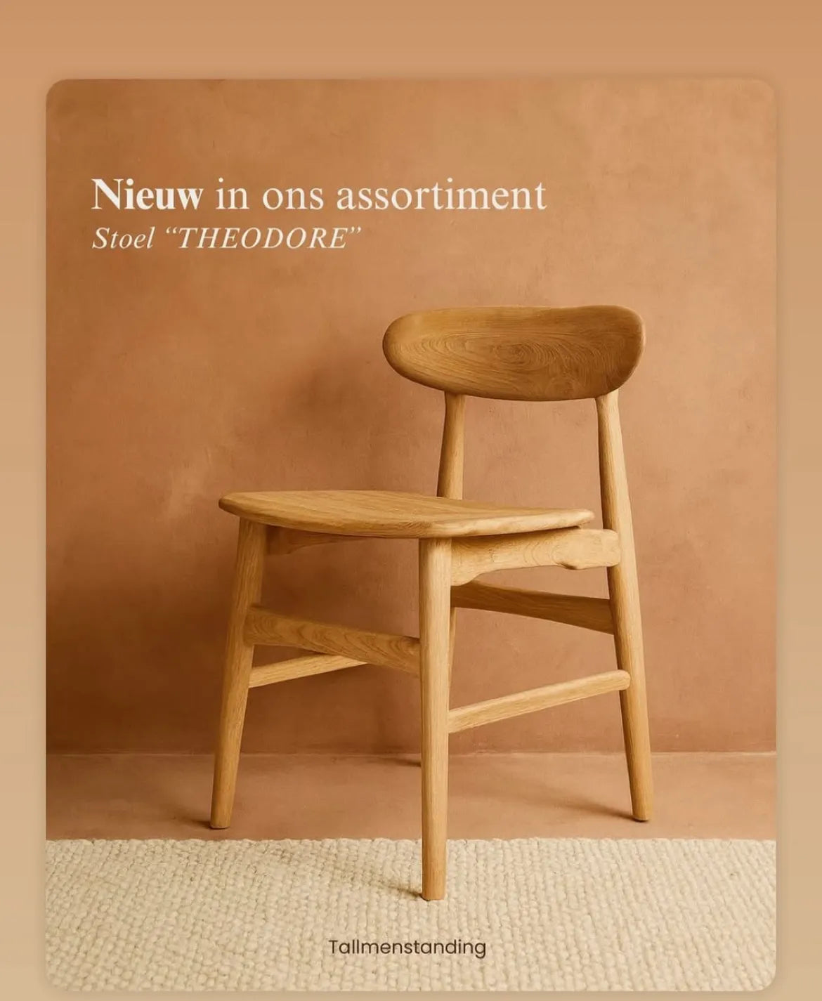 Poster van Theodoor eetstoel met de tekst Nieuw in ons assortiment