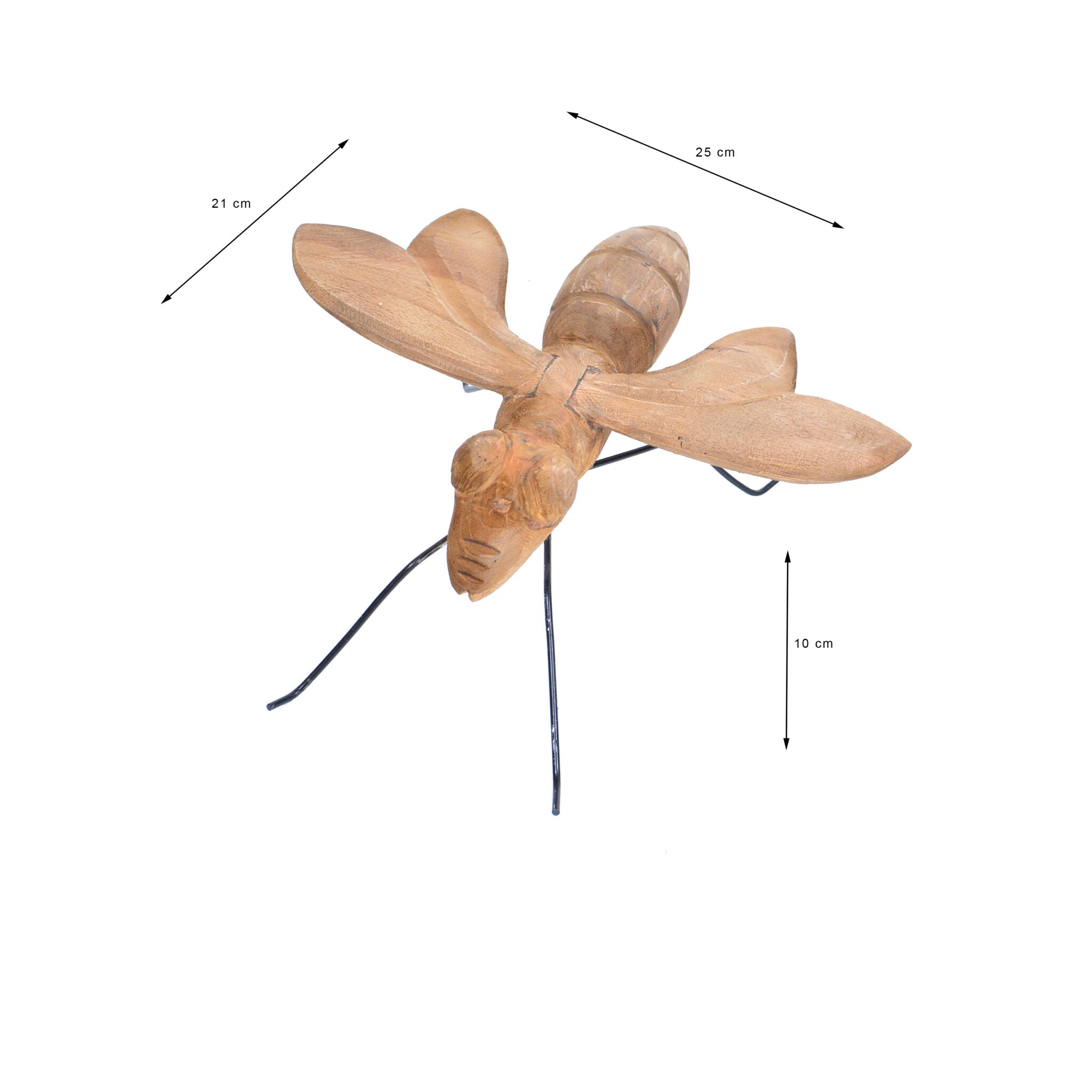 3. animal (fly)1(1)(1)