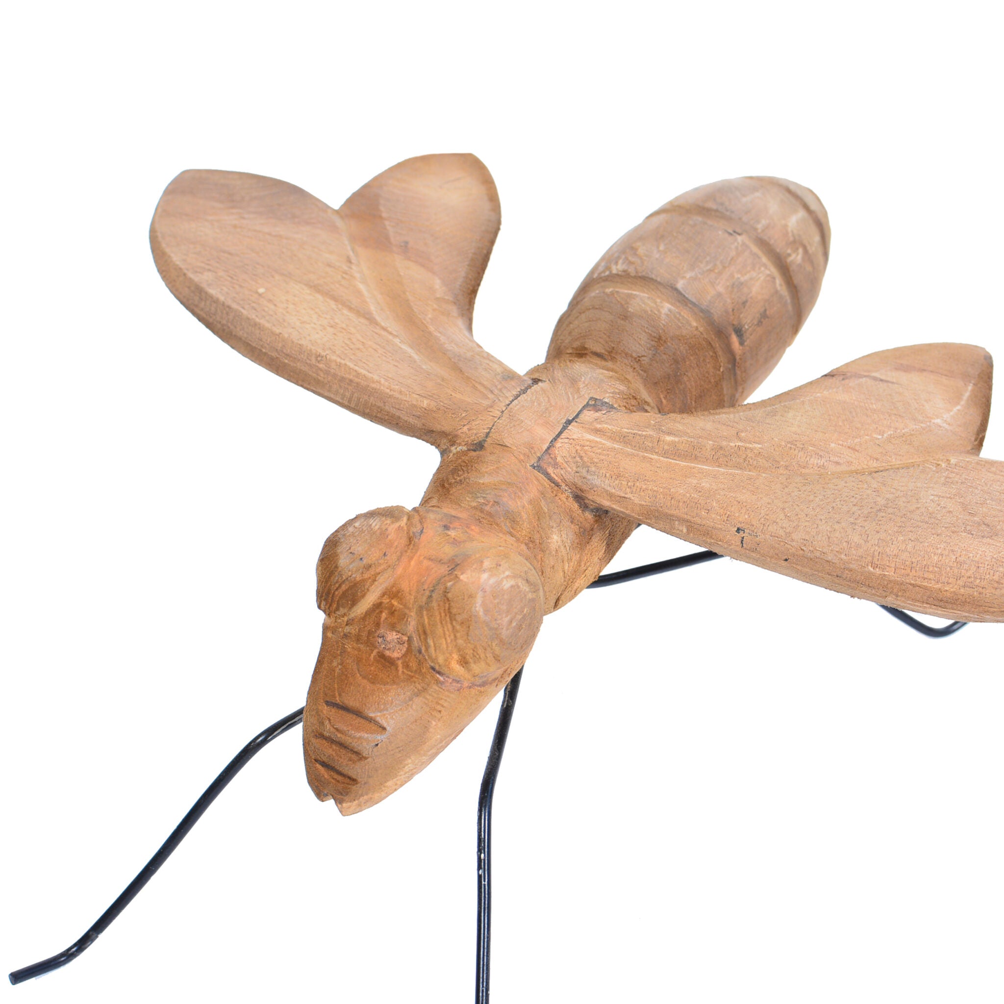 3. animal (fly)3