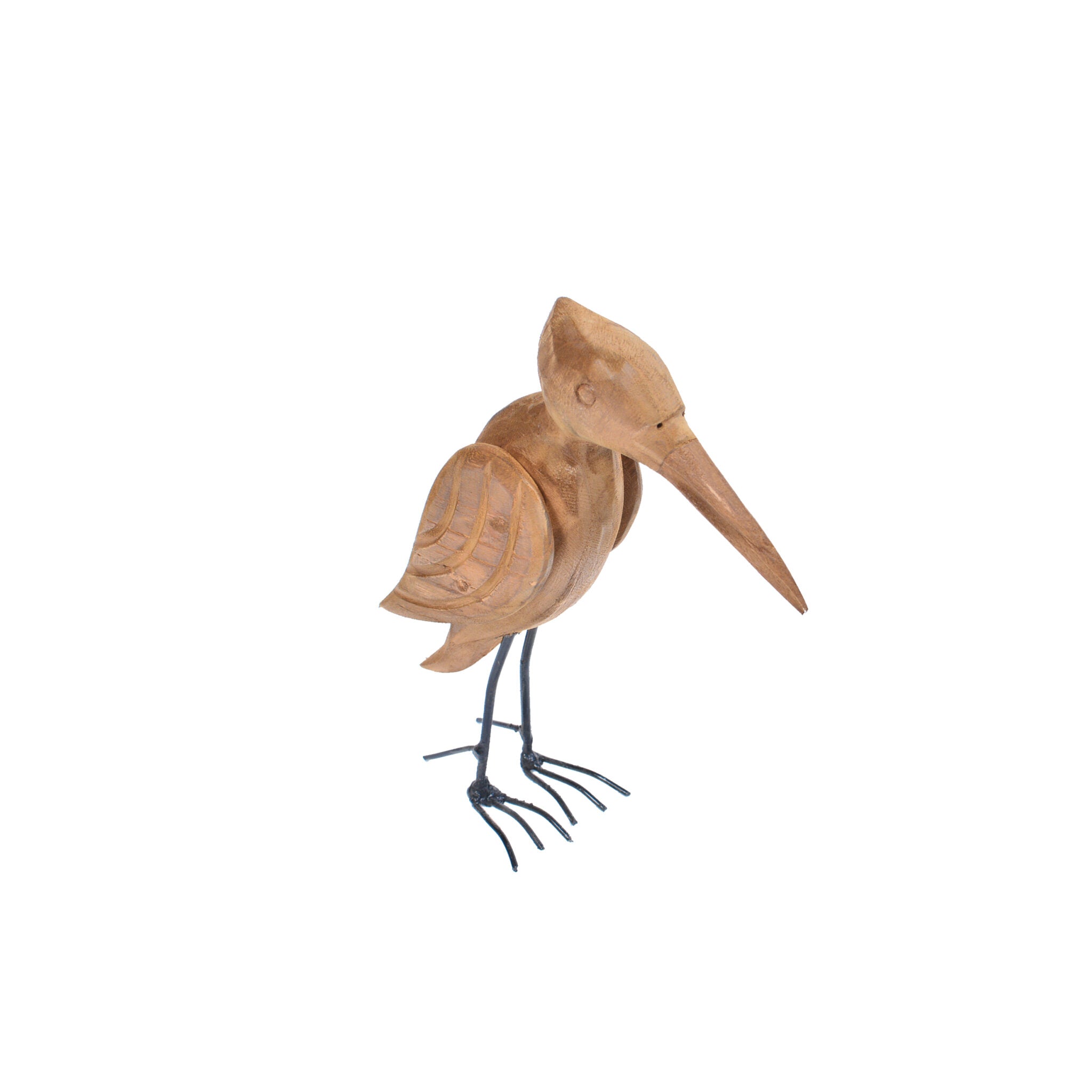 5. animal pelatuk bird 1